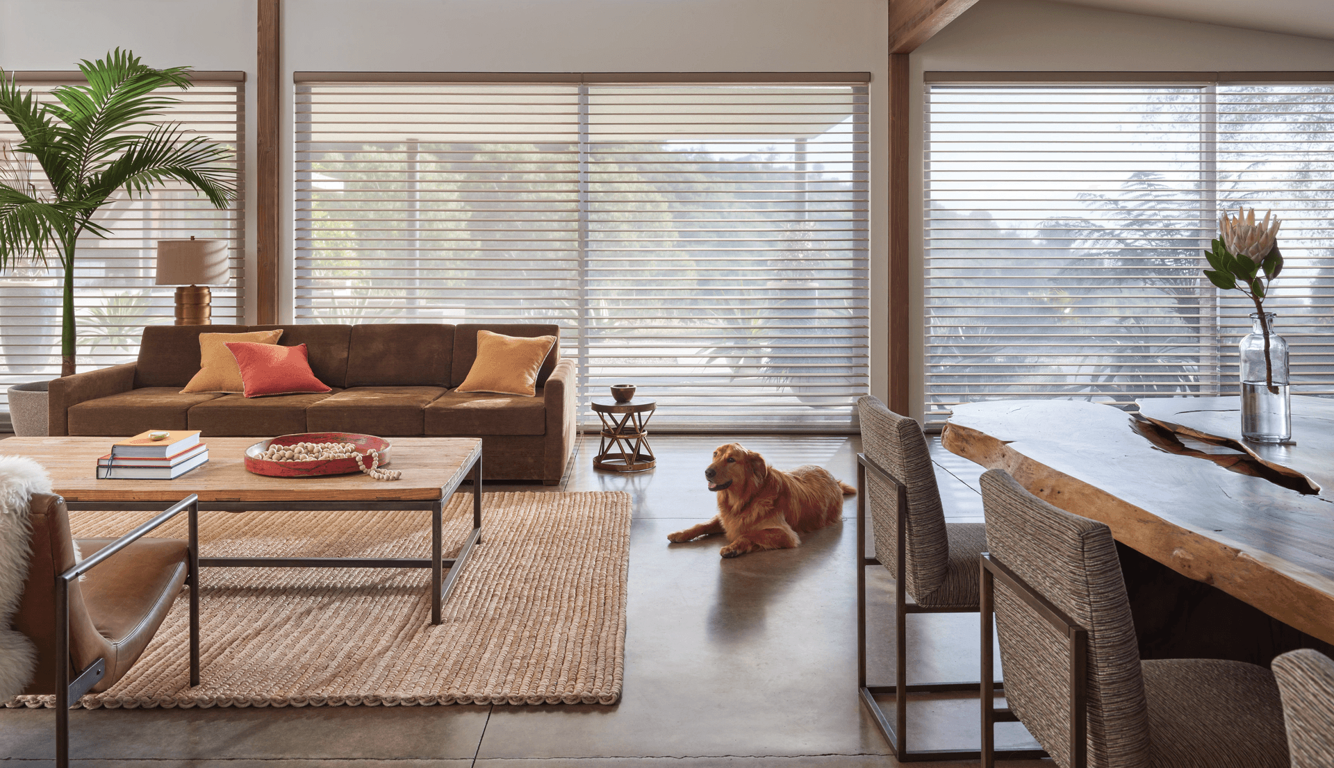 Large Window Treatments & Blinds