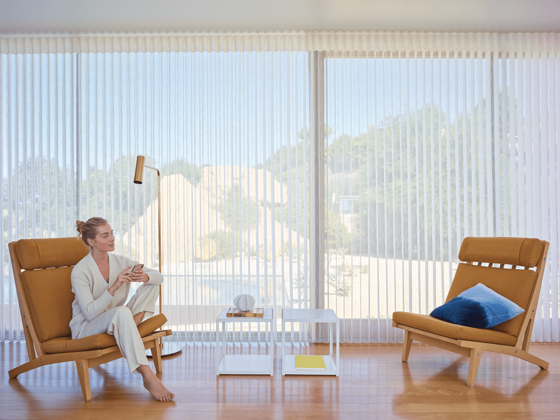 Picture Window Blinds and Shades